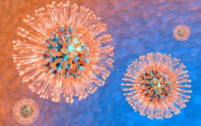 Herpes Simplex Virus (HSV)