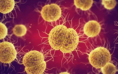 Oral Gonorrhea – The Science